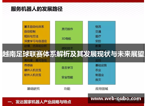 越南足球联赛体系解析及其发展现状与未来展望
